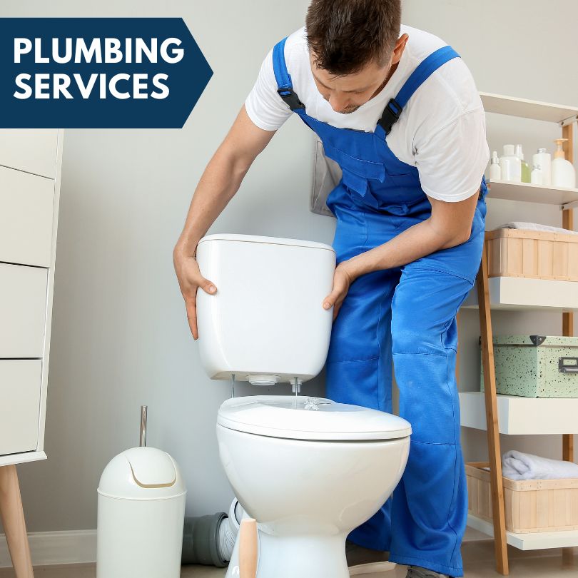 Plumbing Company in Halbur, IA